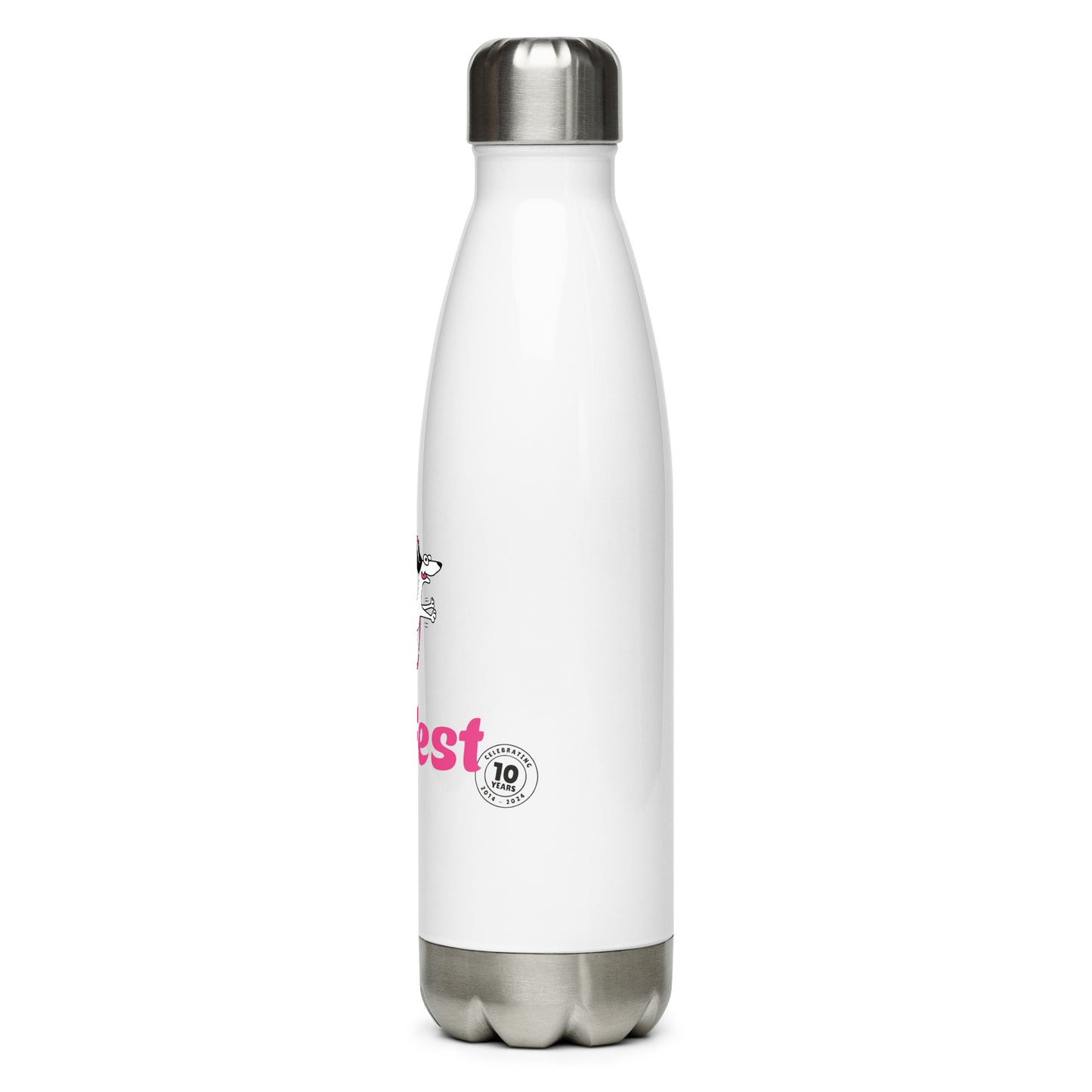 DogFest stainless steel water bottle